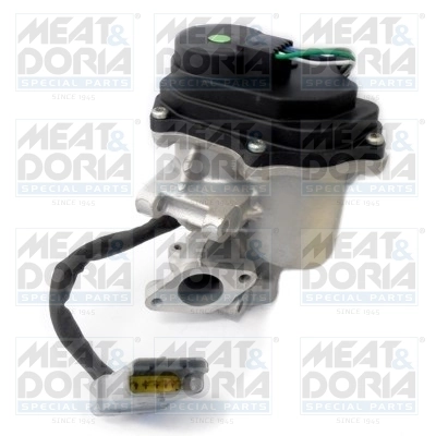 EGR Valve